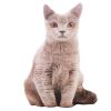 3D Simulation Cat Plush Pillow for Cat Scratch Toy or Sofa Decor Cushion