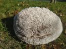 Cat Bed Round Soft Plush Burrowing Cave Hooded Cat Bed Donut for Dogs & Cats, Faux Fur Cuddler Round Comfortable Self Warming pet Bed